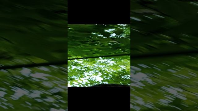 VID_20230608_181554.mp4 смотреть онлайн
