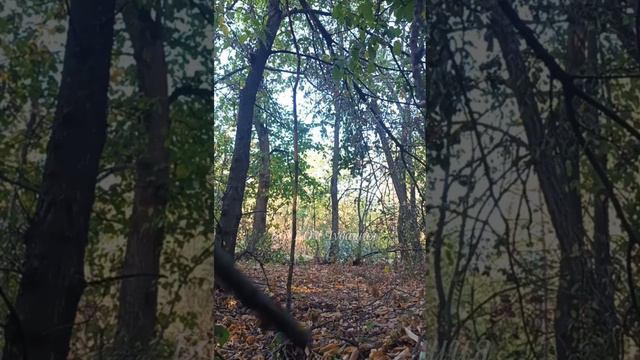 Работают... смотреть онлайн