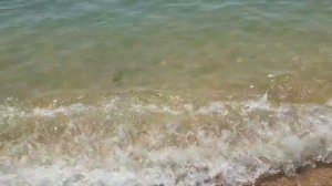 Отдых в Крыму, набережные и пляжи Феодосия, Коктебель и Алушта