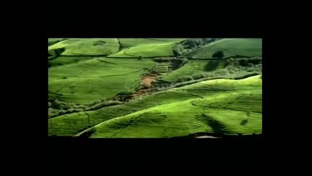 ШРИ-ЛАНКА из Кишинева. Туры в цветочную Шри Ланку от Love Travel! смотреть онлайн