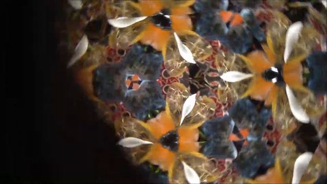 David Kalish's "Wedding Kaleidoscope" смотреть онлайн