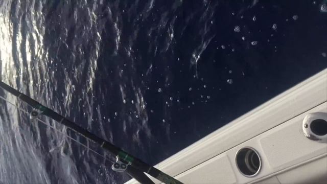 Научные Эксперименты