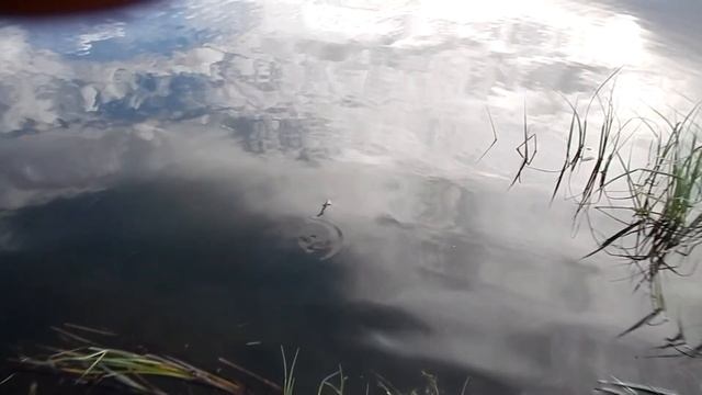 Квадро-путешествие в Саяны к вершине 2044,5м смотреть онлайн