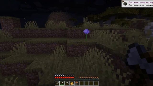 нашёл лук батун в Minecraft