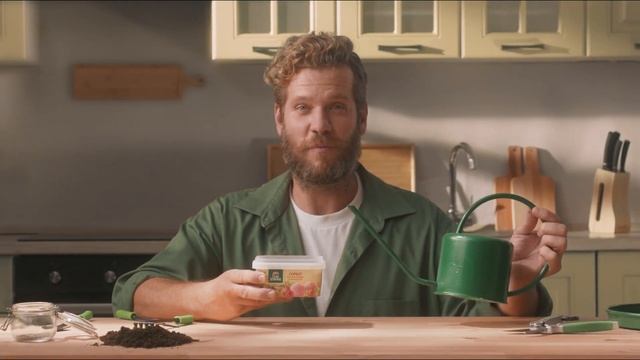 Выращиваем клубнику в домашних условиях смотреть онлайн