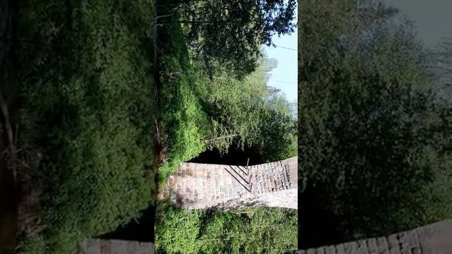 Прыжок с жд моста, р.Ярынья смотреть онлайн