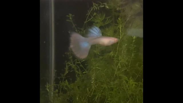 24 мая 2023 г. смотреть онлайн