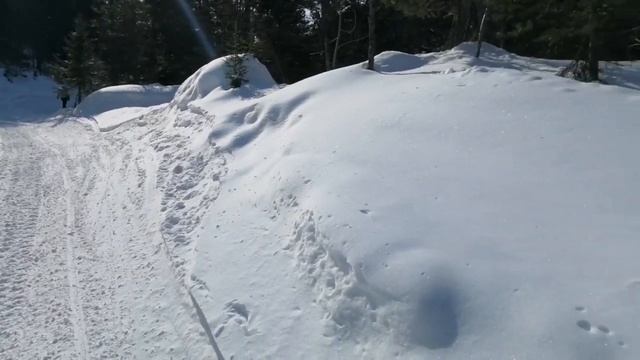 Бурятия, пешком к горе Мамай. #бурятия #байкал #сибирь #мамай смотреть онлайн