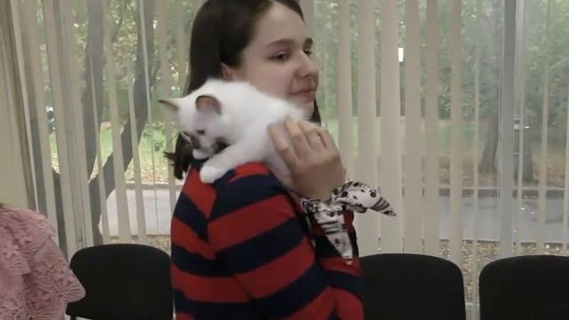 Межпородное спаривание животных. смотреть онлайн