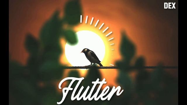 Flutter (Back To Form) смотреть онлайн