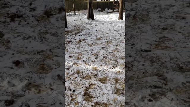 28 февраля 2022 г. смотреть онлайн