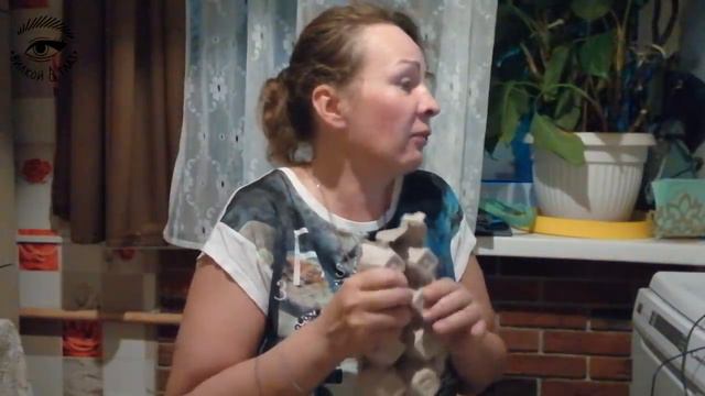 если бы я был преподавателем в хогвартсе смотреть онлайн