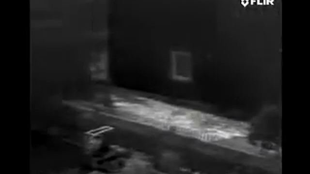 19mm 9Hz Video смотреть онлайн
