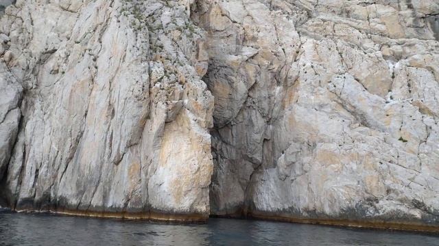 Крупная ставрида 11.05.20 смотреть онлайн