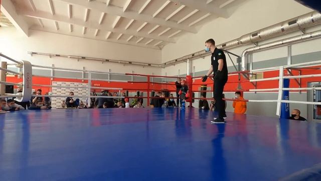 Чемпионат области, по КИКБОКСИНГУ смотреть онлайн