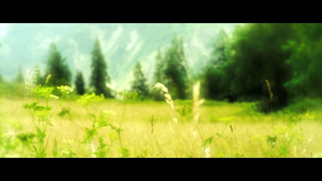 966030(00h44m13s-01h28m26s)