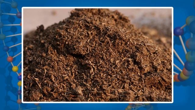 Биосфера. Видеоурок по биологии 11 класс смотреть онлайн
