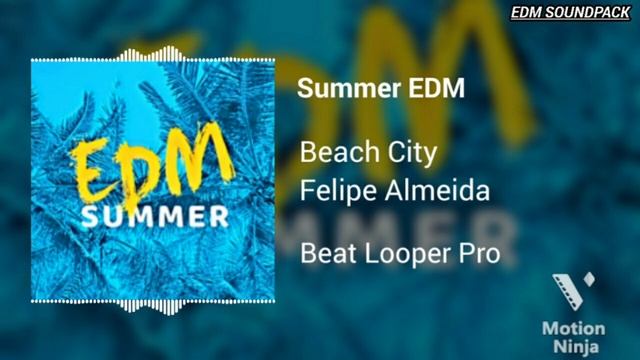 Summer EDM | Beat Looper Pro смотреть онлайн