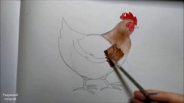 Как нарисовать курицу поэтапно смотреть онлайн