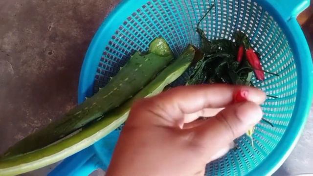 Herbal Oil to Prevent Hair Fall😮#kabitabiswas#Nofakewithproof#hibiscus#aloevera#onion#Mustardoil смотреть онлайн