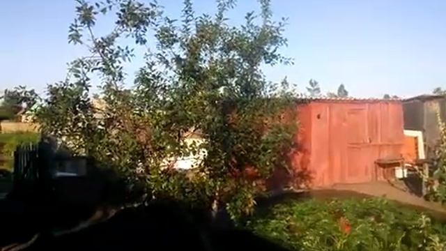 Дача на Алтае. смотреть онлайн