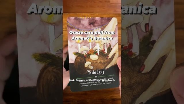 Your Daily Tarot or Oracle reading - Daily Card Pull by aromaG's Botanica - for 12-25-2022. смотреть онлайн