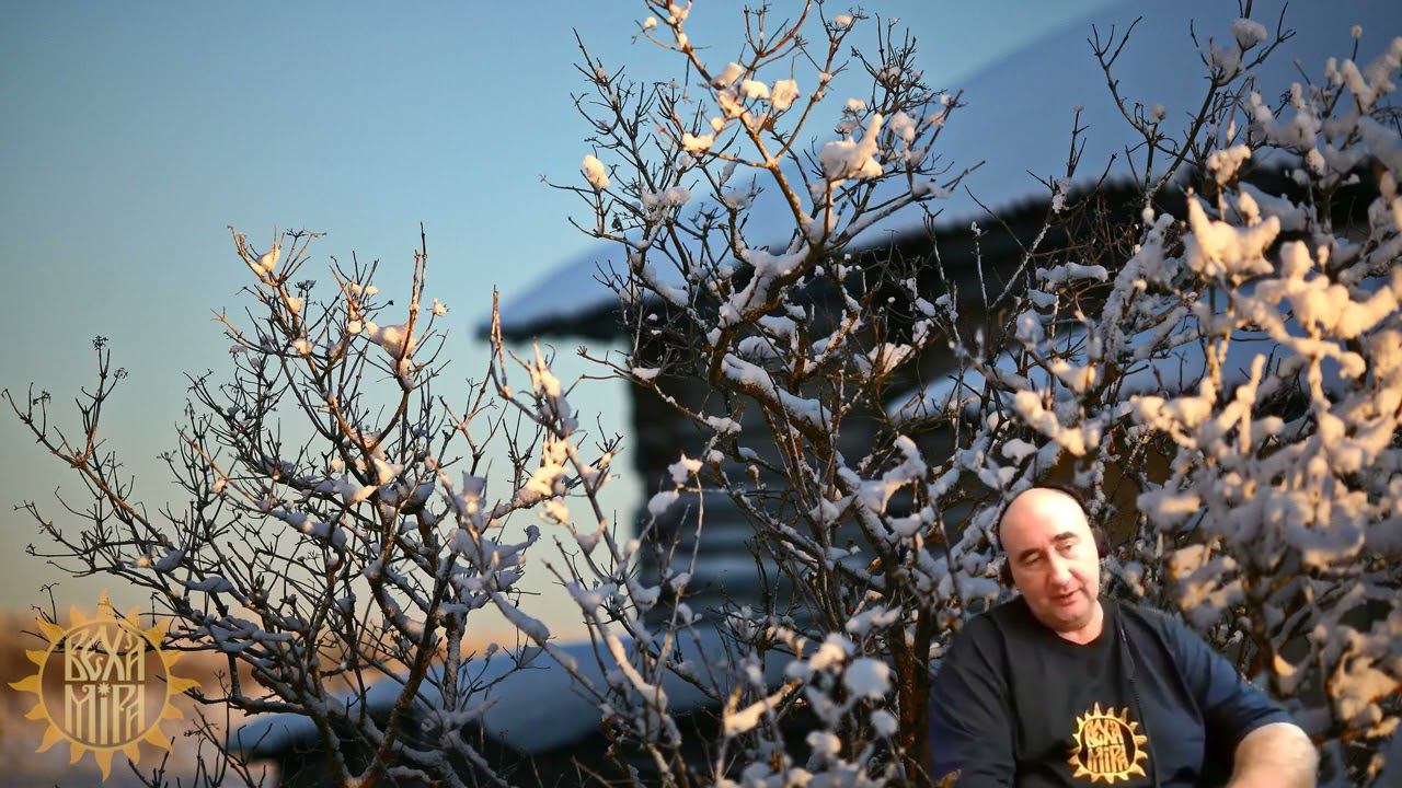 Работа с тонкими телами Работа на тонком плане. смотреть онлайн