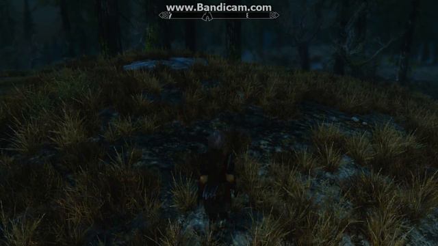 Skyrim Grass Problem смотреть онлайн