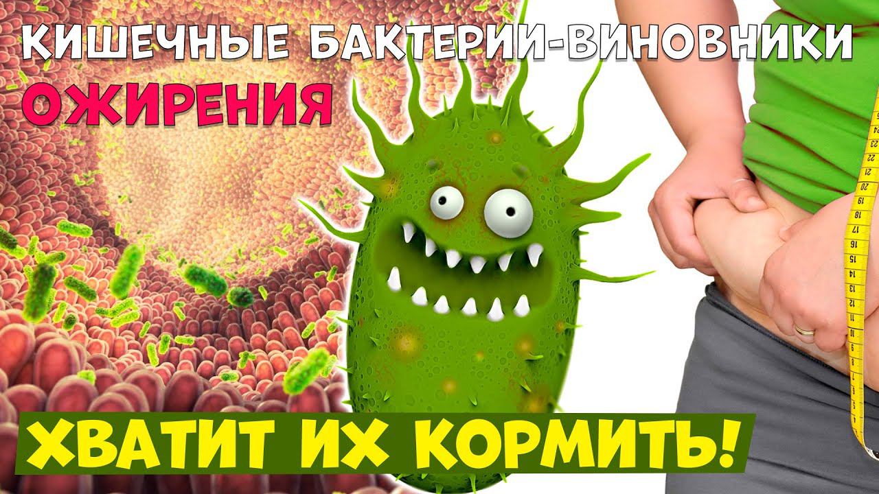 Измените микрфолору кишечника, чтобы похудеть и снизить уровень сахара. Простой метод смотреть онлайн