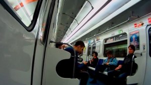 Поездка от Станции Метро «Садовая» до Станции «Обводный Канал» в Вагоне: № 0123, 5 Линия (ФПЛ)