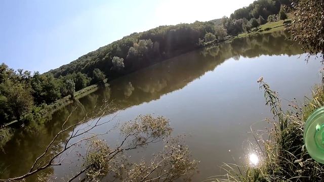 ЭТИ СНАСТИ РОЗРЫВАЮТ ТОЛСТОЛОБА! ОСЕННИЙ ЖОР! рыбалка на толстолоба, ловля амура, карась на удочку. смотреть онлайн