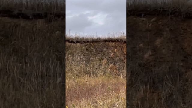 Кроссовые мотоциклы - 2 смотреть онлайн