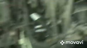 Мягкая промывка масляной системы двигателя ЛАВР тест