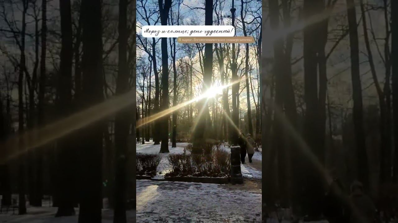 Утро в парке Санкт-Петербургского государственного лесотехнического университета смотреть онлайн