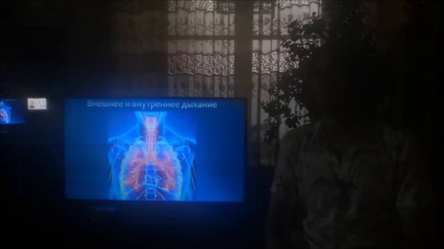 6 Молекулярная физиология - Обоняние и дыхание смотреть онлайн