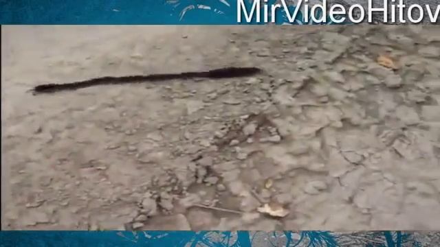 ПРИКОЛ ЗЕМЛЕРОЙКИ ХОДЯТ ПАРОВОЗИКОМ смотреть онлайн