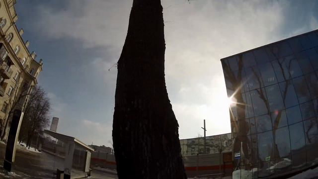 как губят дерево смотреть онлайн