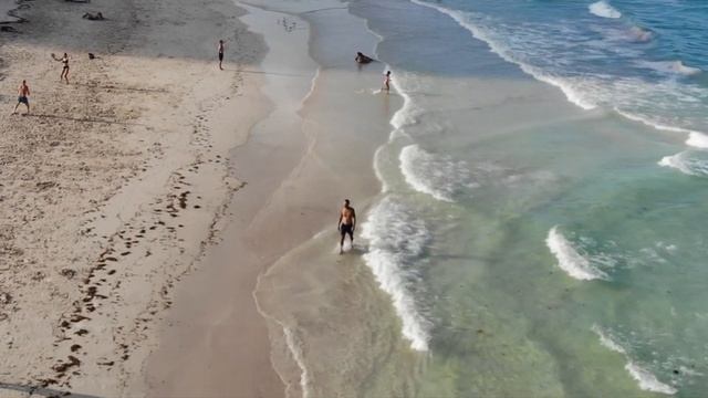 Haulover Beach Tbt