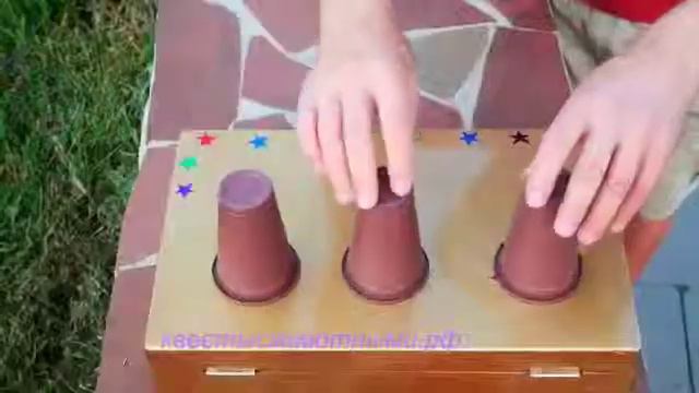 Номер со свиньей, игра в стаканчики, трюки с животными, www.квестысживотными.рф смотреть онлайн