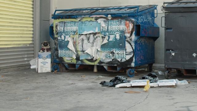 The Runaway Duckling