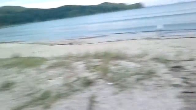 Морепродукты... Выброшеные после шторма!