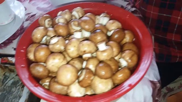 Муж -помощник на кухне.Видео № 40 смотреть онлайн