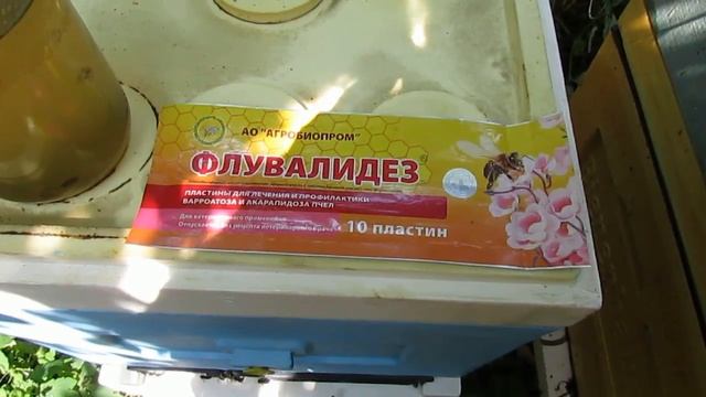 тестирую разные пластины для обработки пчел в августе , от клеща Варроа - часть 1 - флувалидез смотреть онлайн