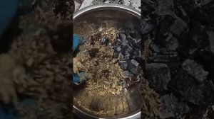 Купила Биркина. Что с ним??? Пересадка филодендрона Биркин. Грунт для филодендрона. Часть 1.