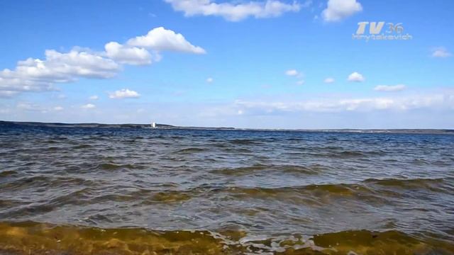 Видео с Nikon D 5100 без обработки смотреть онлайн