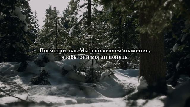 Мухаммад аль-Люхайдан, Сура аль-Анам (Скот), 63-69 смотреть онлайн