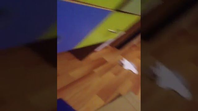 Кроватка для реборна Кати смотреть онлайн