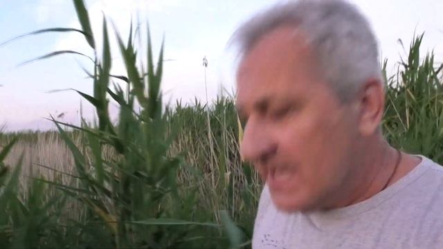 Солнце не греет/ Авторская песня от С. Трандафилова/ смотреть онлайн