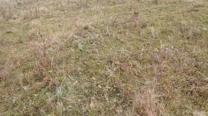 Как соеденить электропастух.