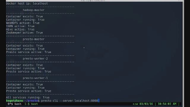 Running product tests in presto with usage of presto-devenv-docker смотреть онлайн